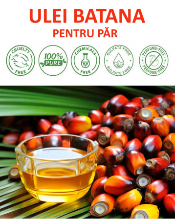Ulei Premium de Batana, 100% Raw & Organic pentru Regenerarea si Stimularea Foliculilor de Par, 120 g1