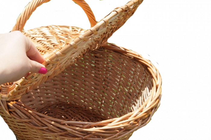 Cos de picnic [2]