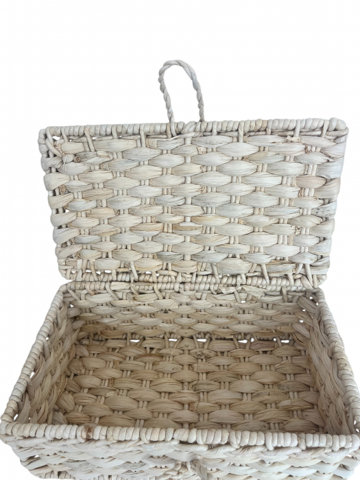 ladă-împletită-manual-din-pănușă-cu-capac-și-cadru-metalic-practică-elegantă-naturală [3]