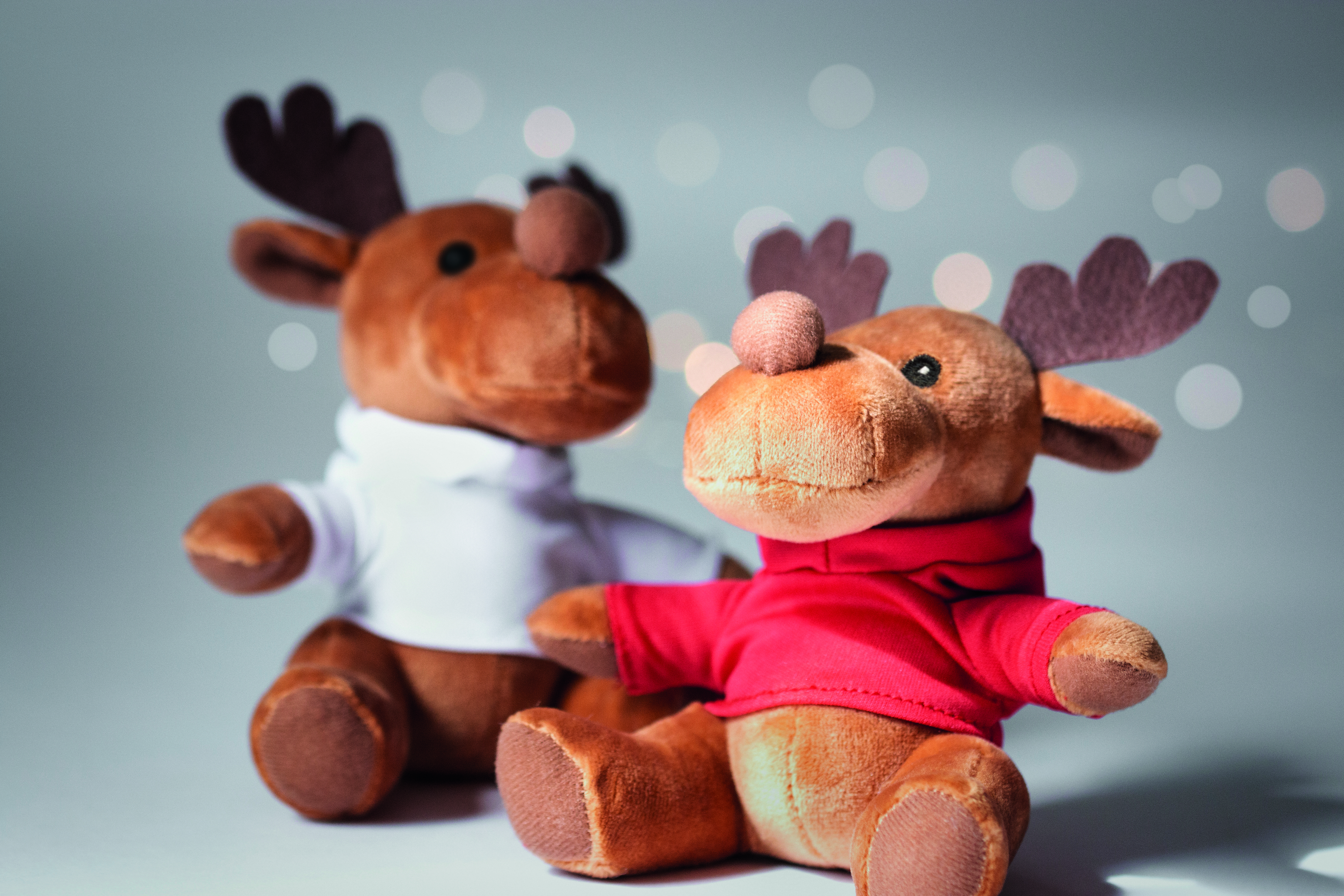 RUDOLPH [5]