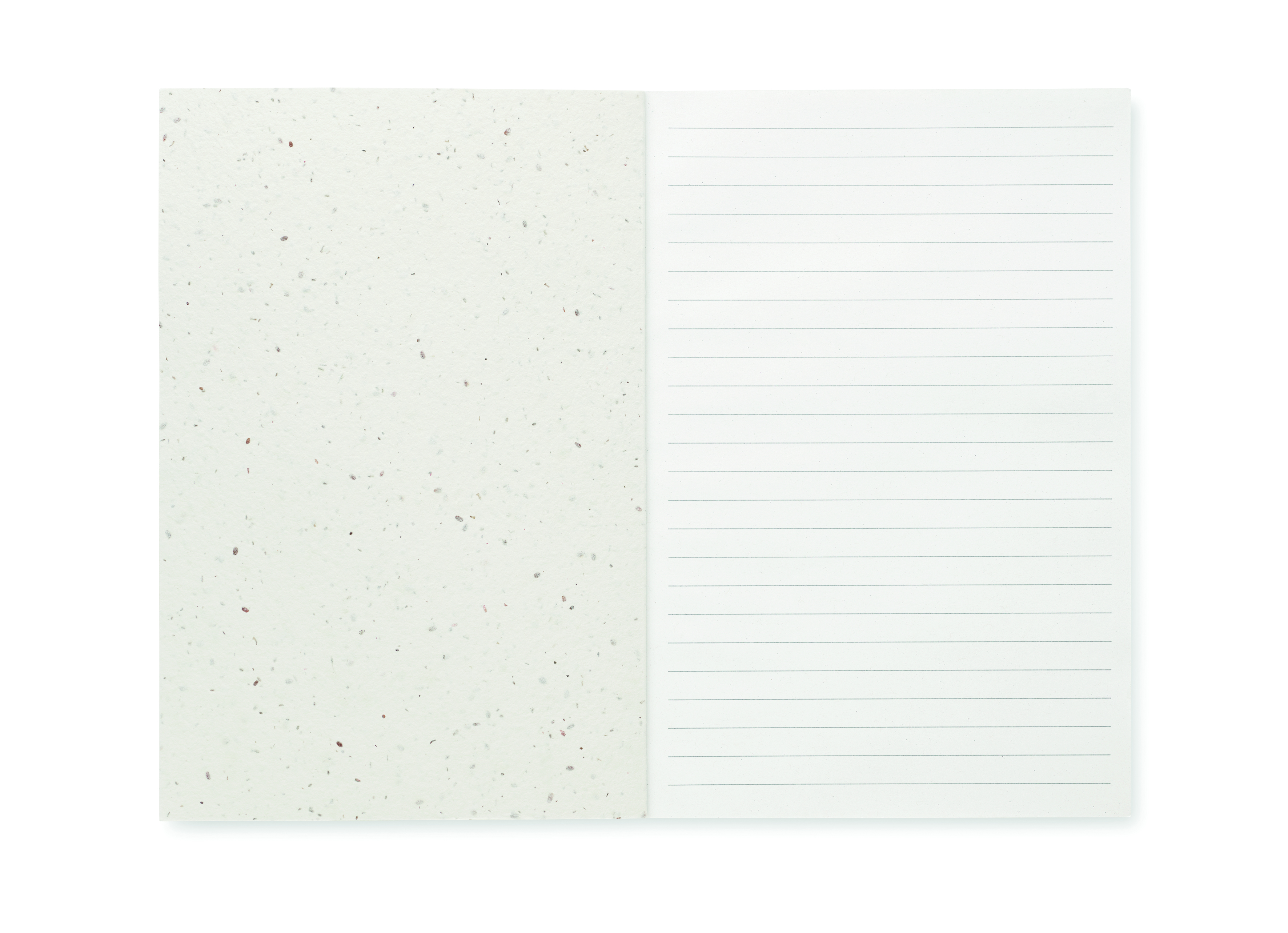 SEED BOOK [2]