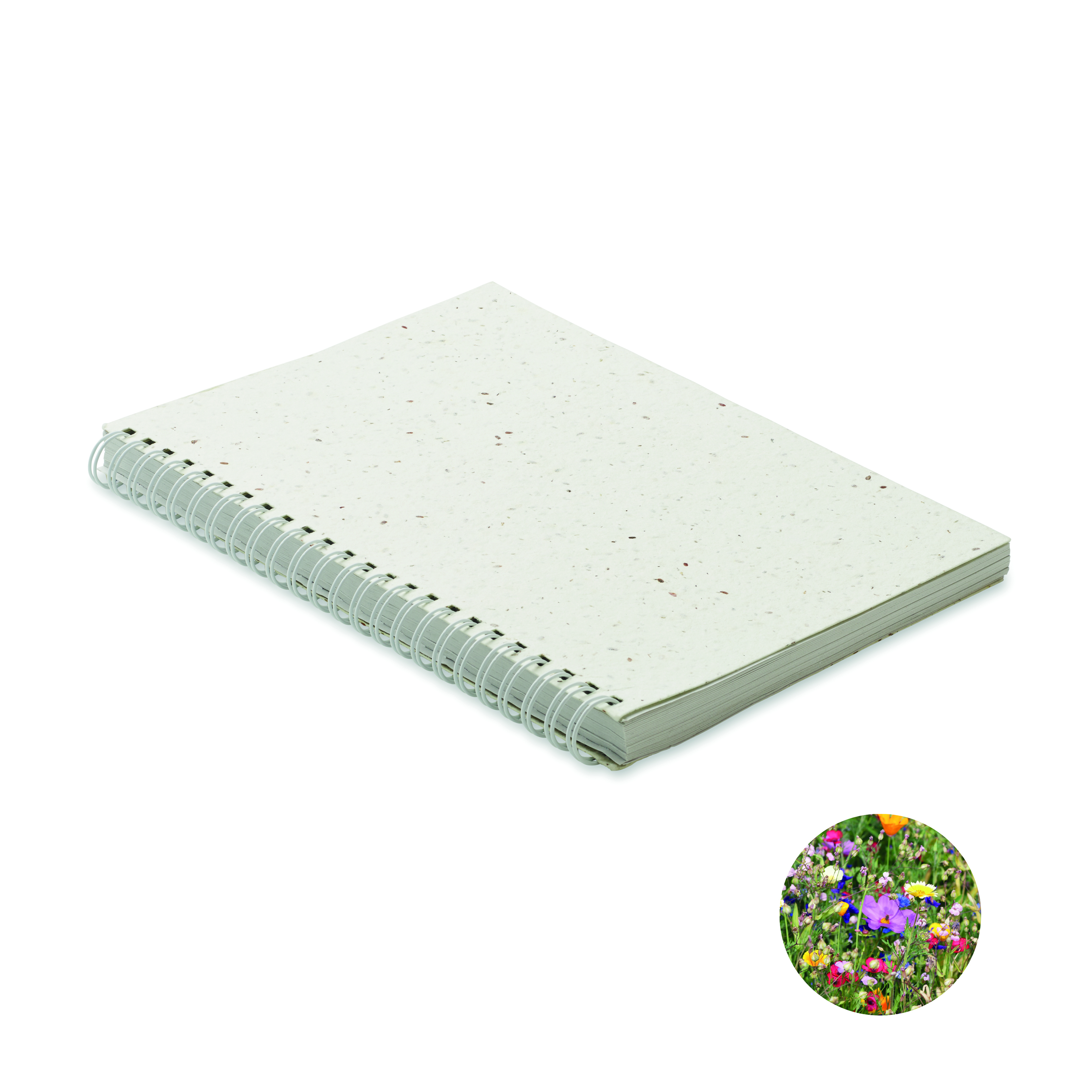 Notebooks - SEED RING