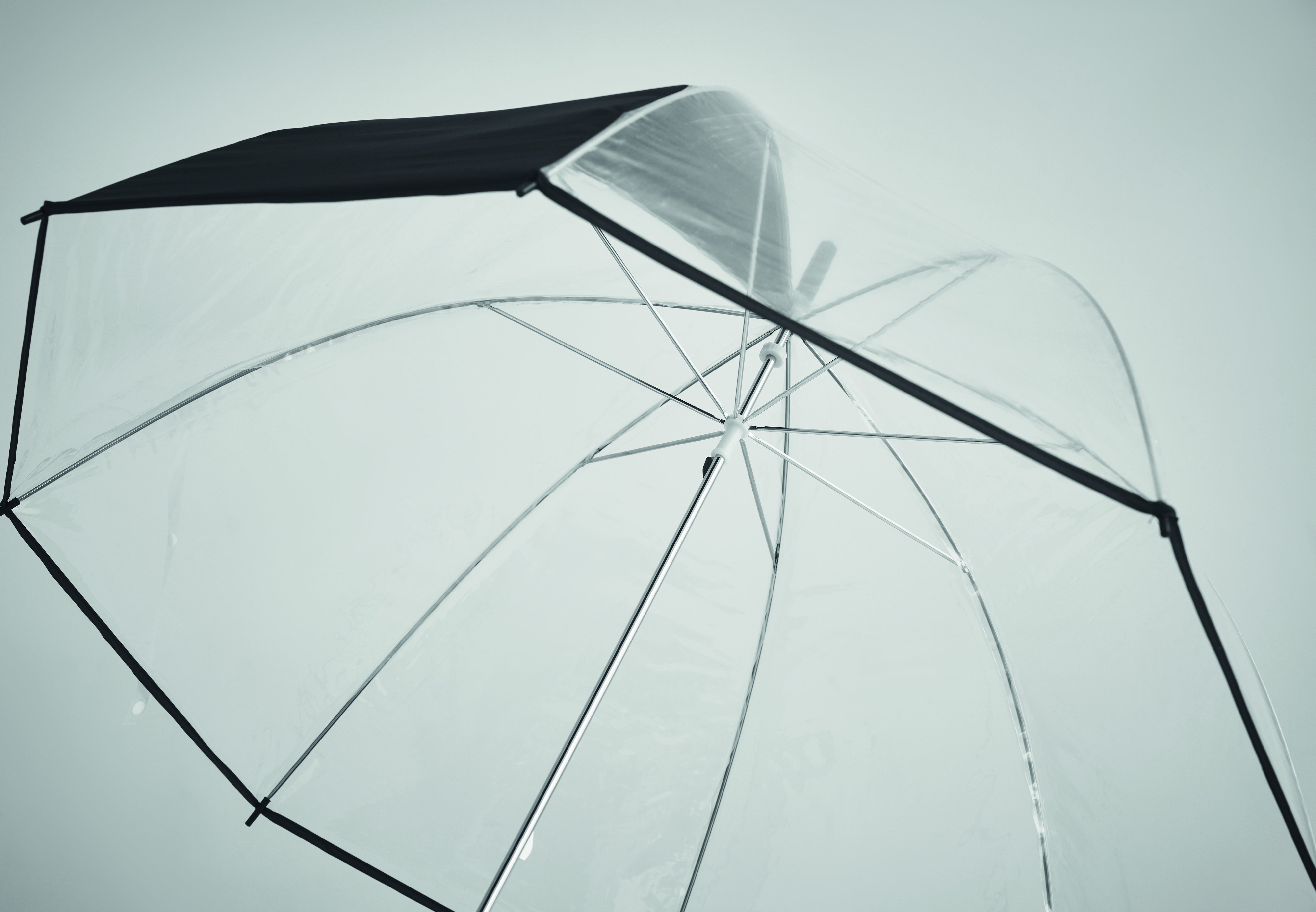 GOTA [5]