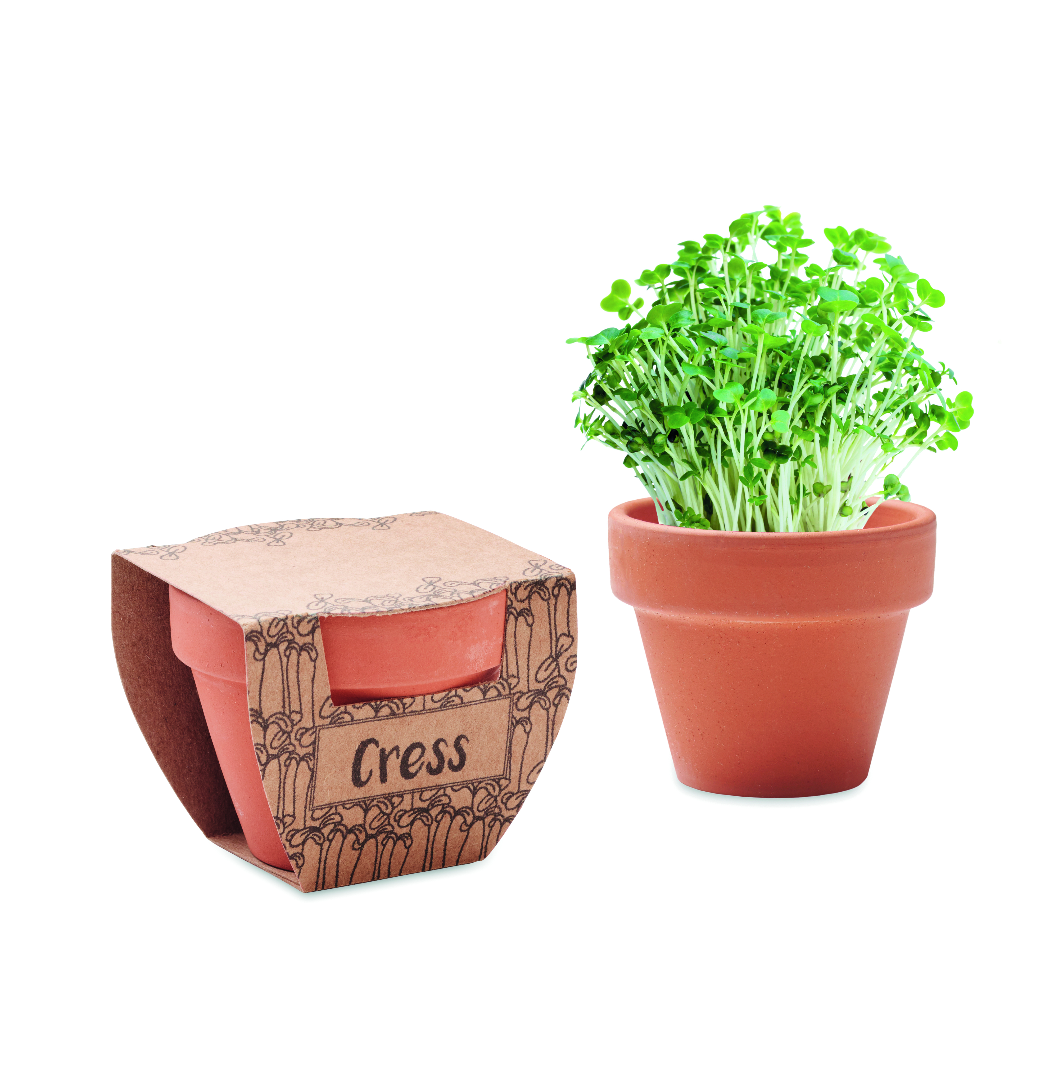 CRESS POT [1]