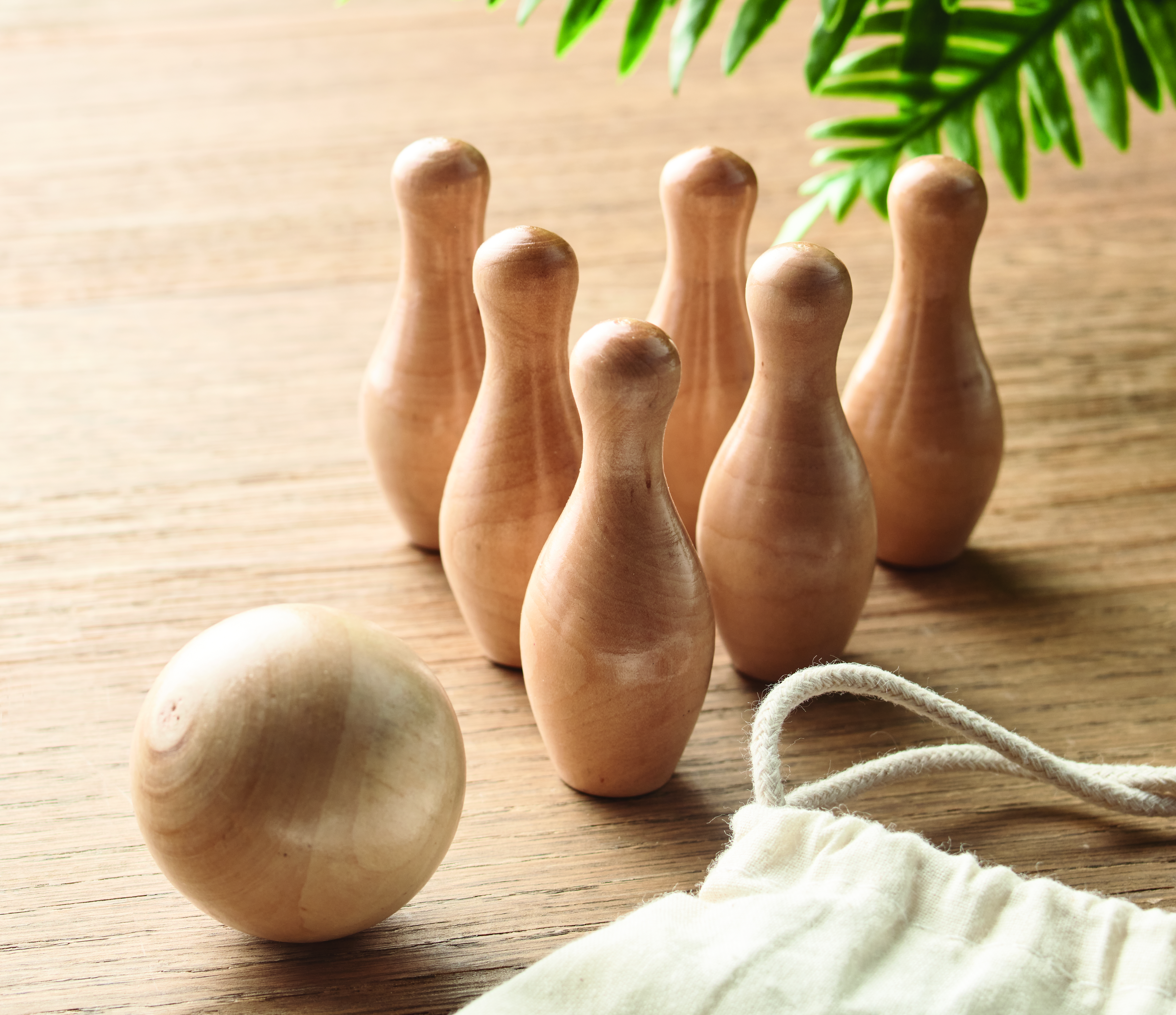 BOLITO [5]