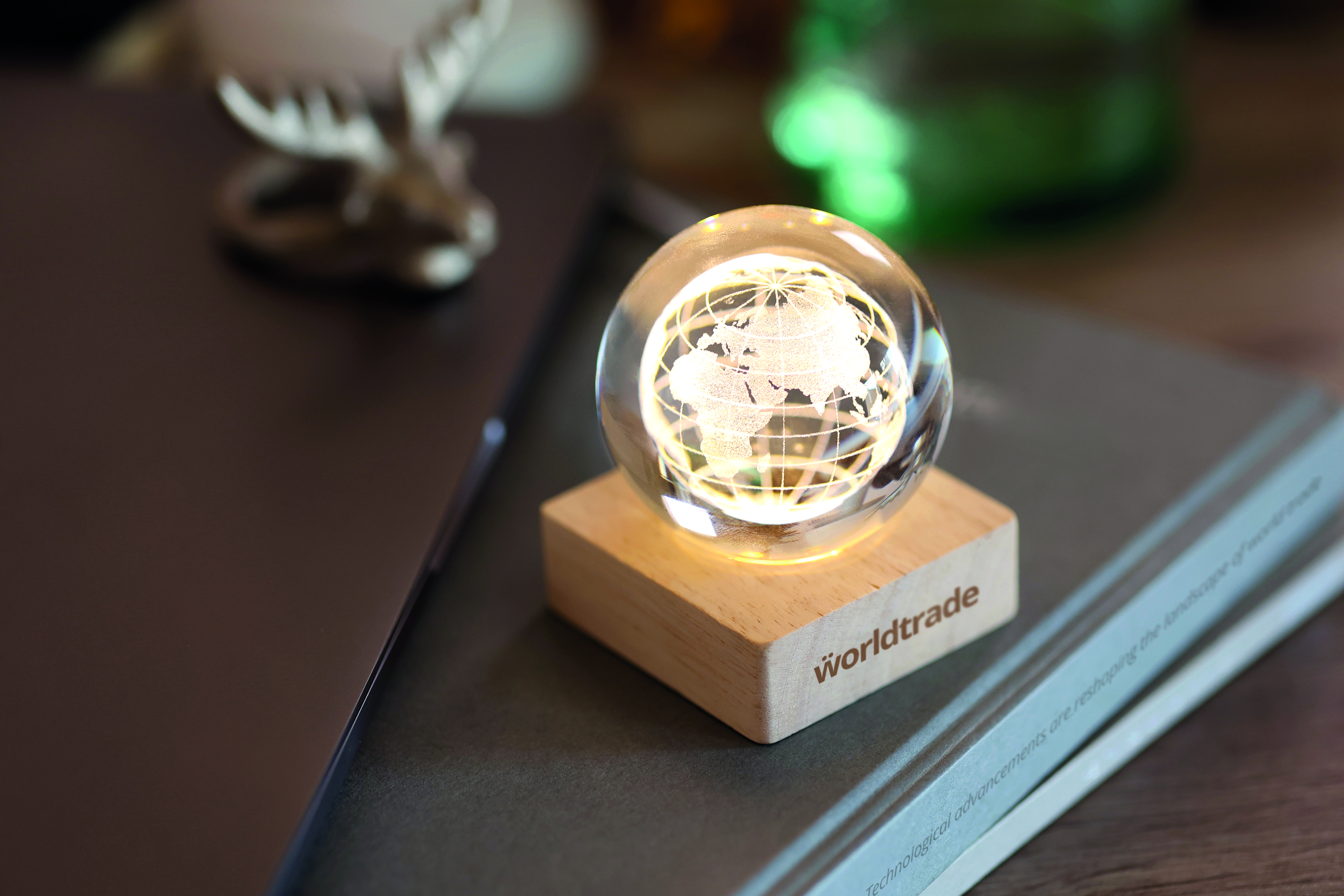 GLOBE LIGHT [7]