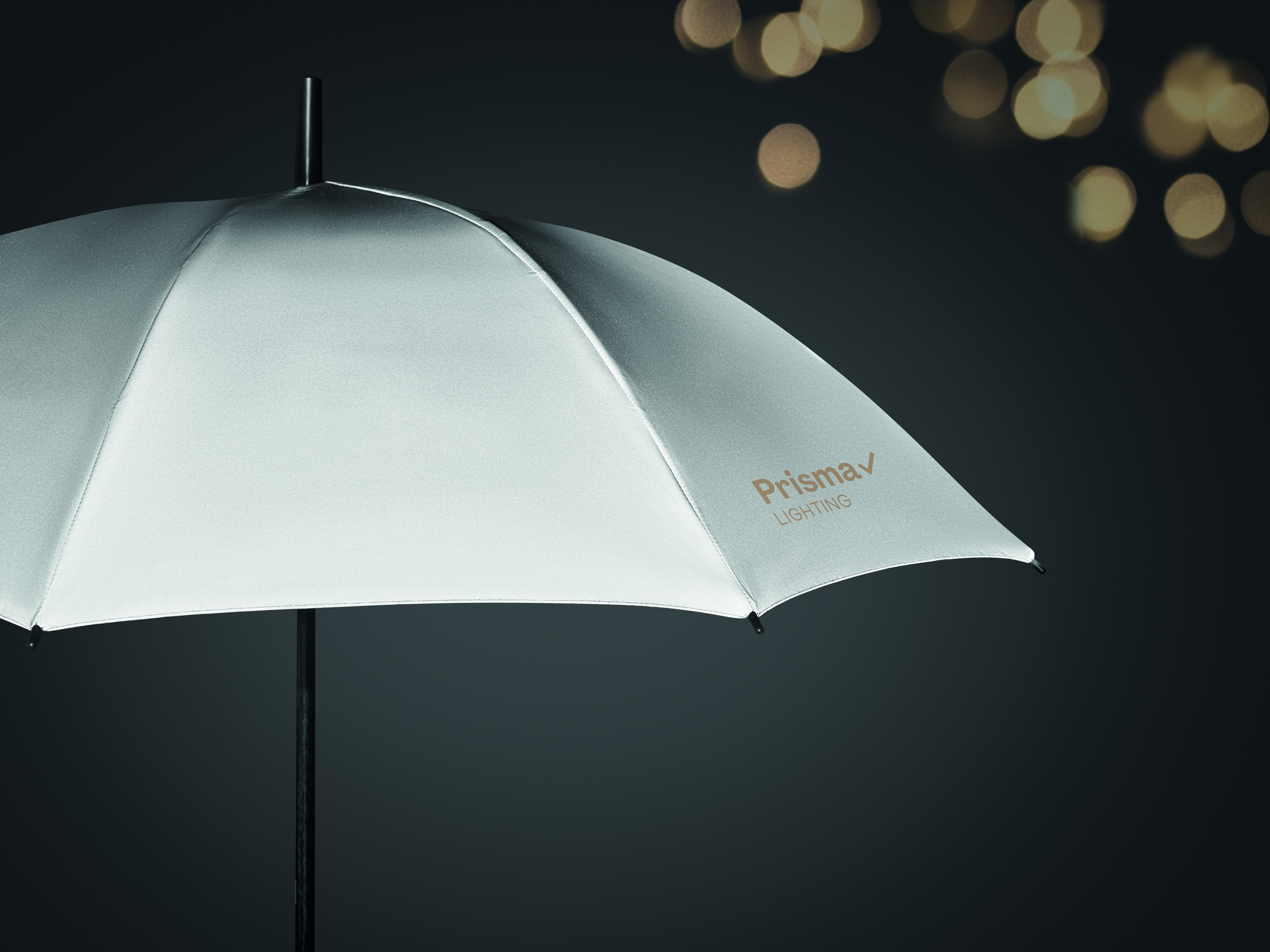 VISIBRELLA [3]
