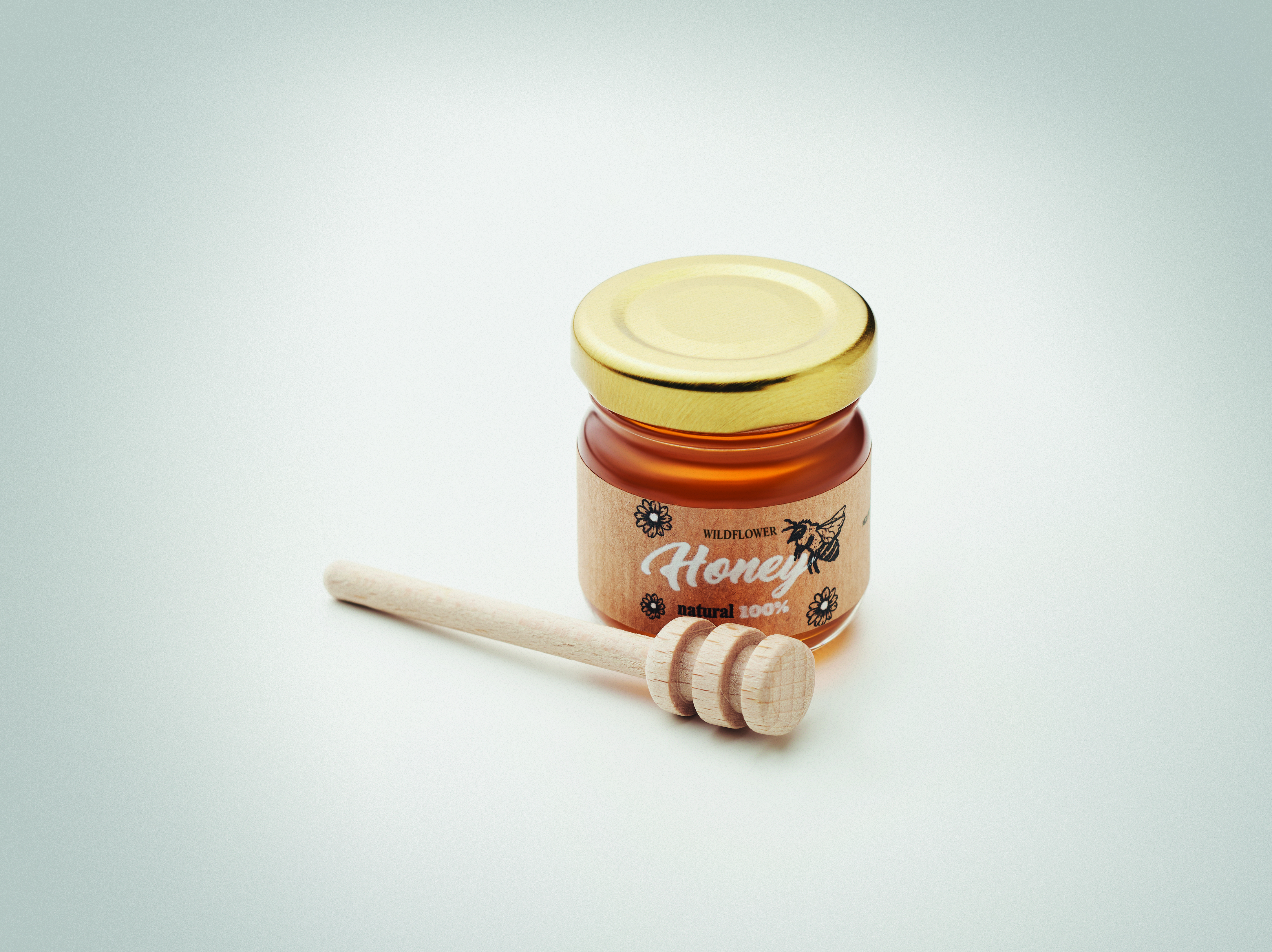DAUBER [6]