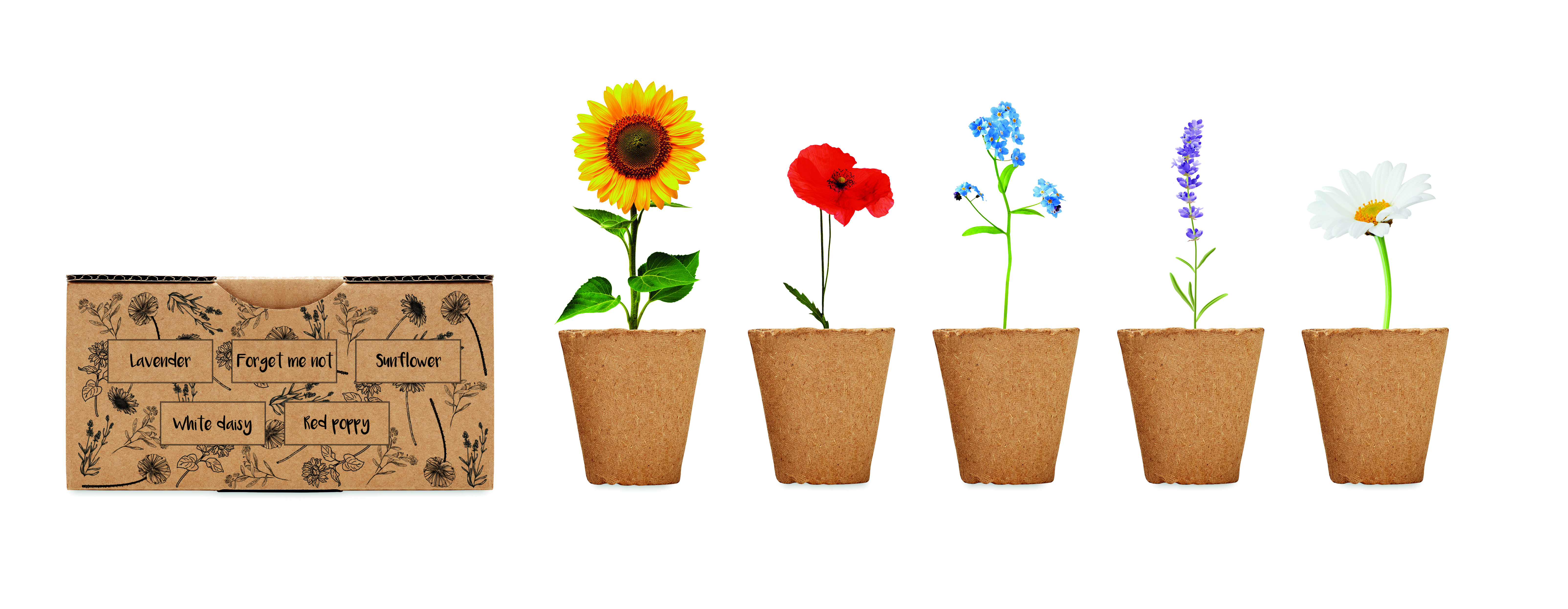 FLOWERS [4]