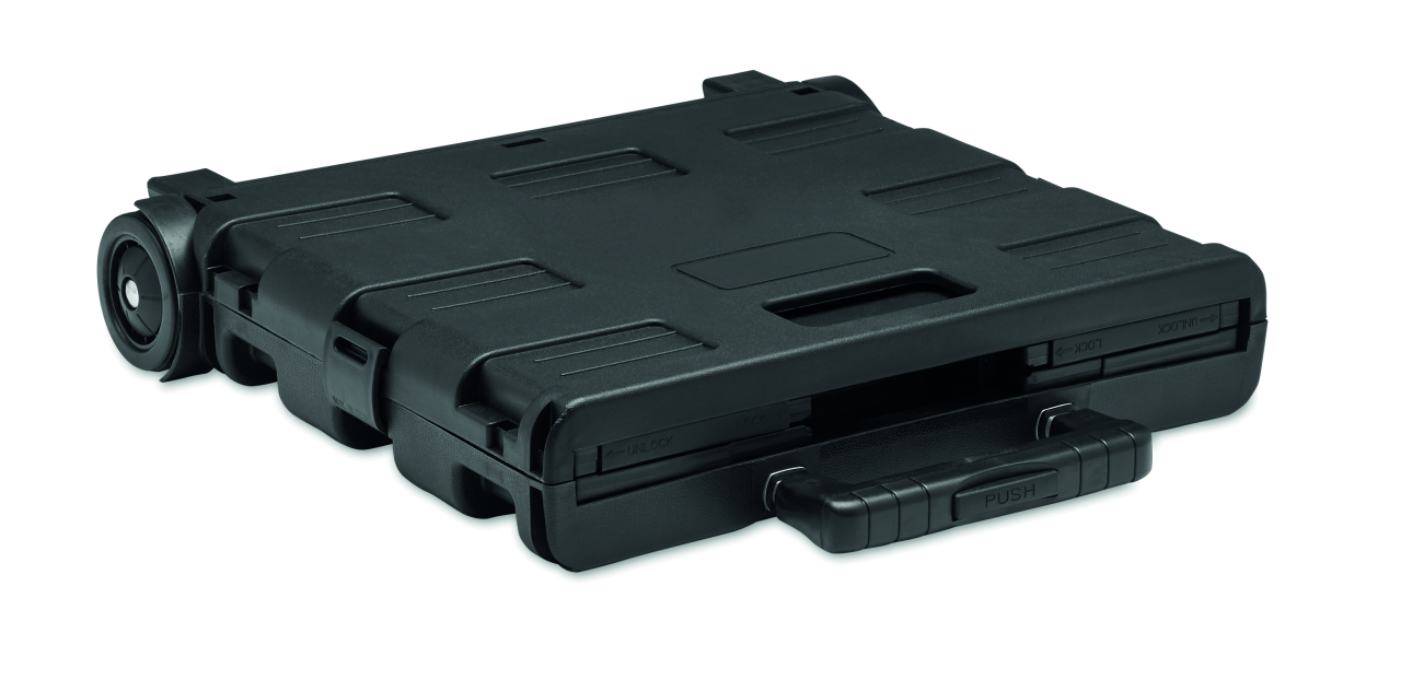 CARRO [2]