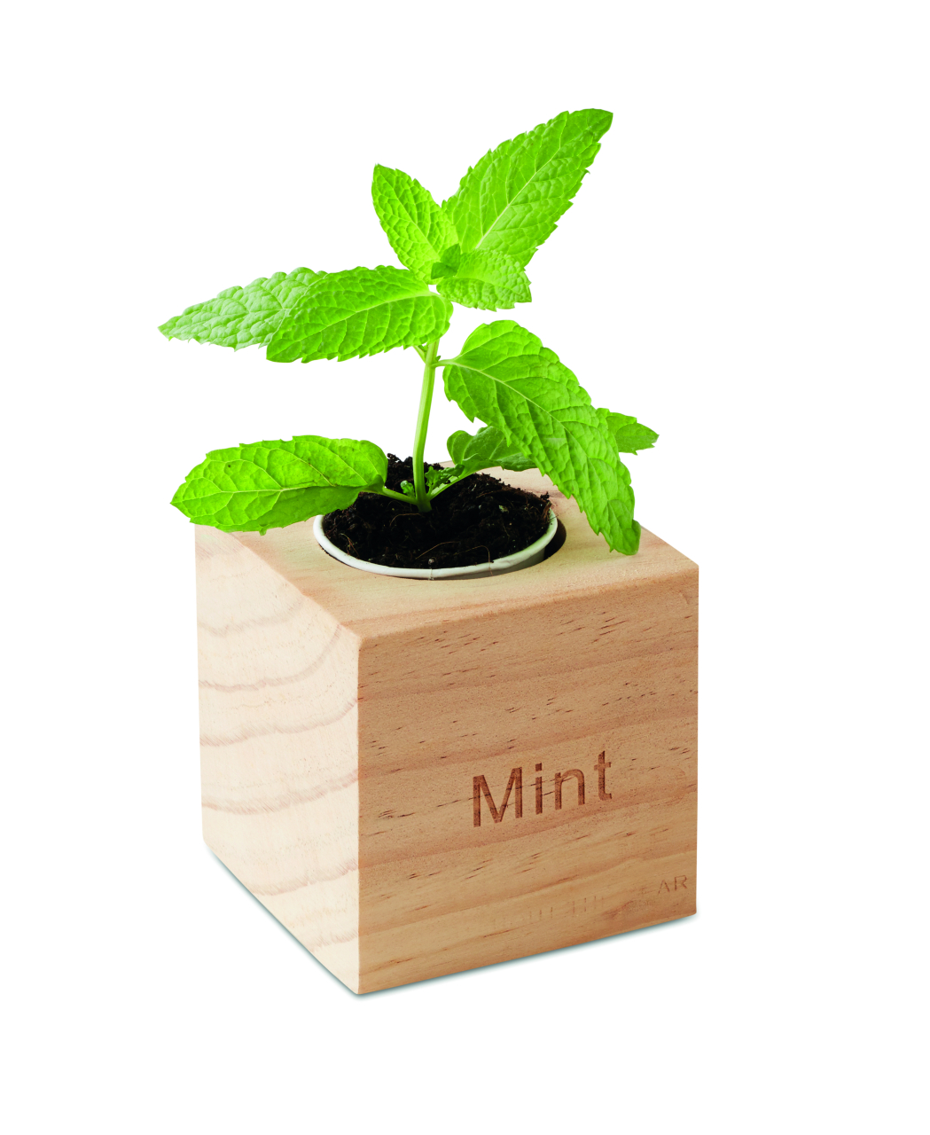 MENTA [3]