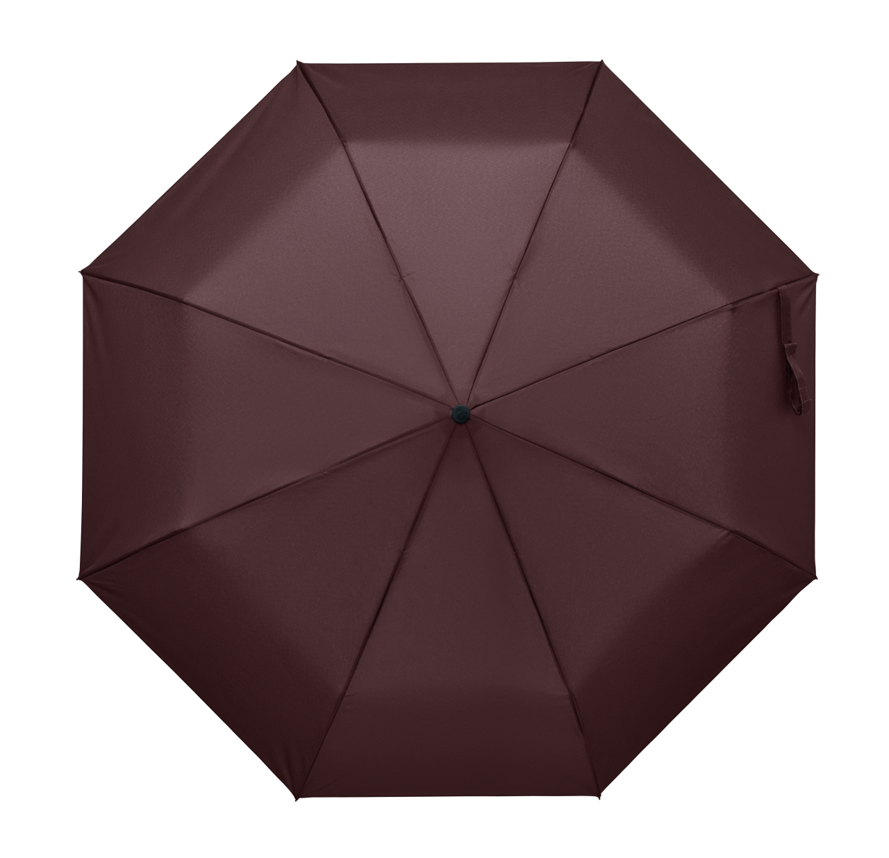 RAYNA FOLD [4]