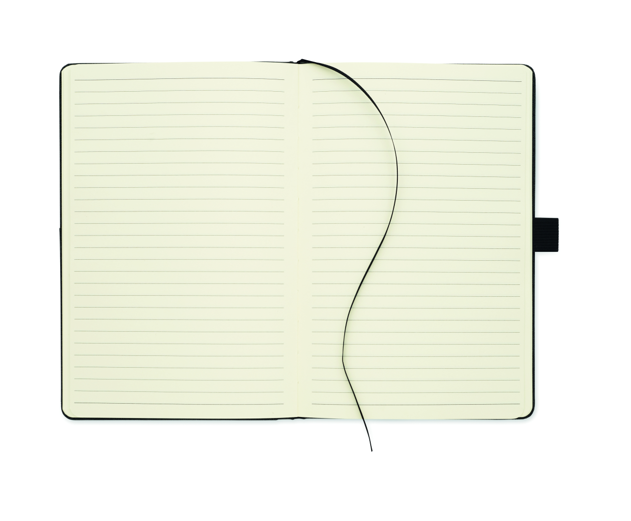 SCRIBI 4 [11]