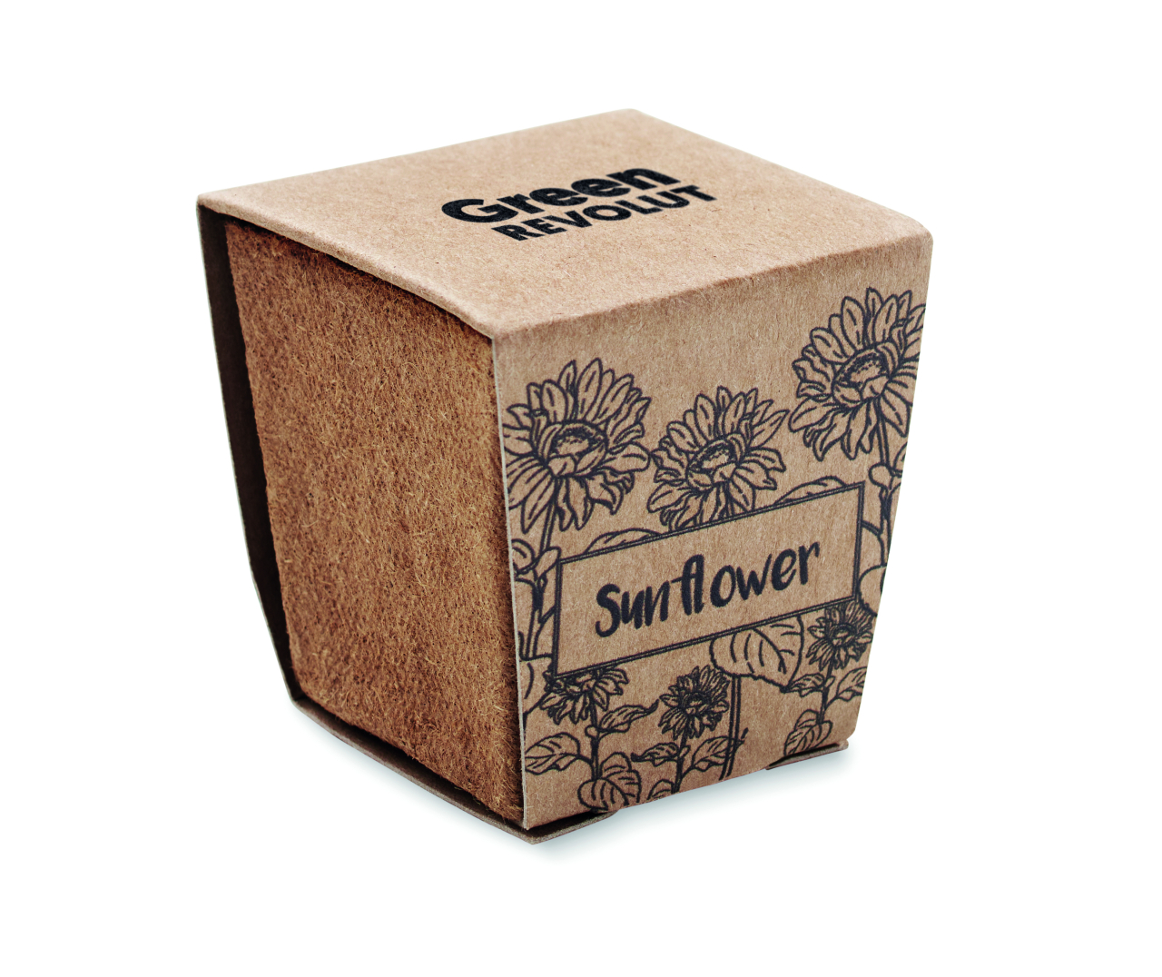 SUNFLOWER KIT [5]