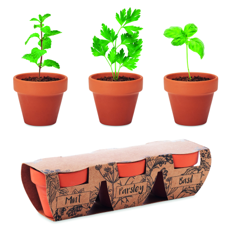 Plante și semințe - FLOWERPOT