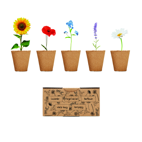 Plante și semințe - FLOWERS