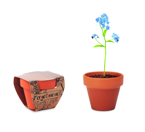 Plante și semințe - FORGET ME NOT