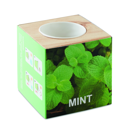 Plante și semințe - MENTA