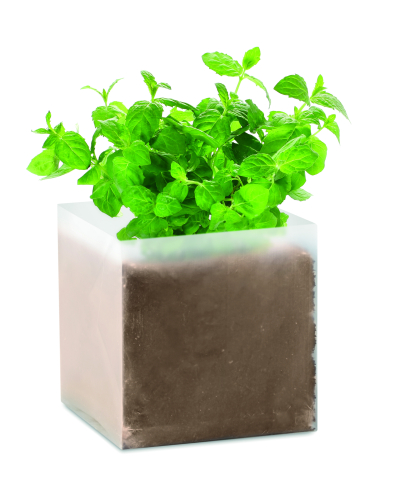 Plante și semințe - MINT