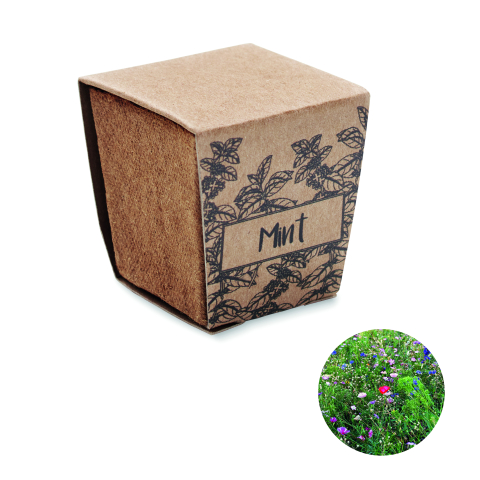 Plante și semințe - MINT KIT
