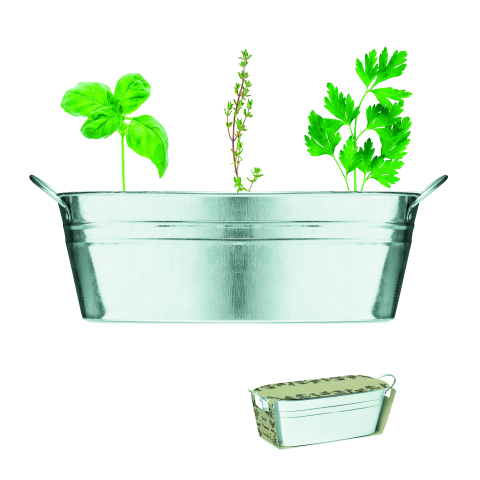 Plante și semințe - MIX SEEDS