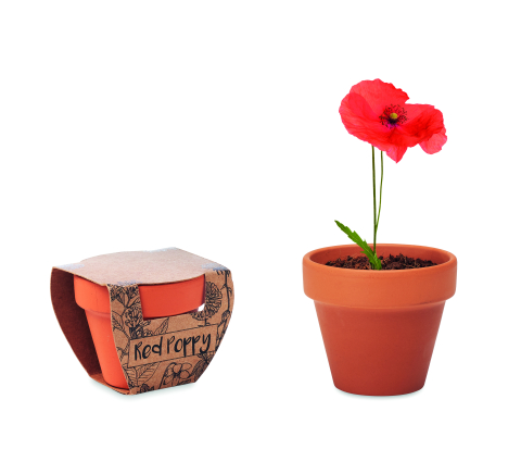 Plante și semințe - RED POPPY