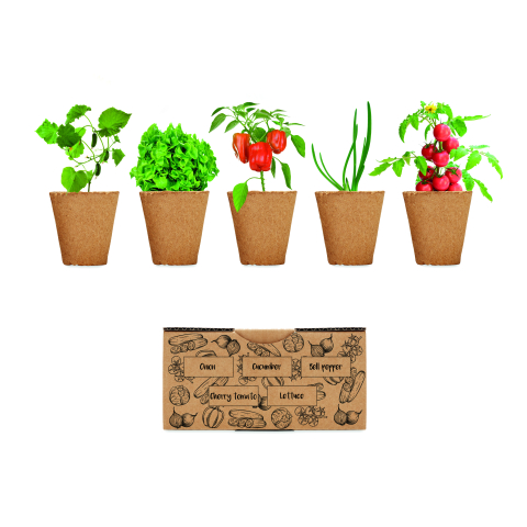 Plante și semințe - SALAD