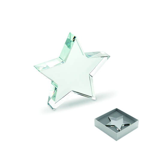 Trofee (premii) și greutăți de hârtie - STARWARD
