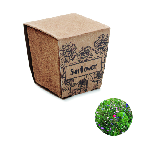 Plante și semințe - SUNFLOWER KIT