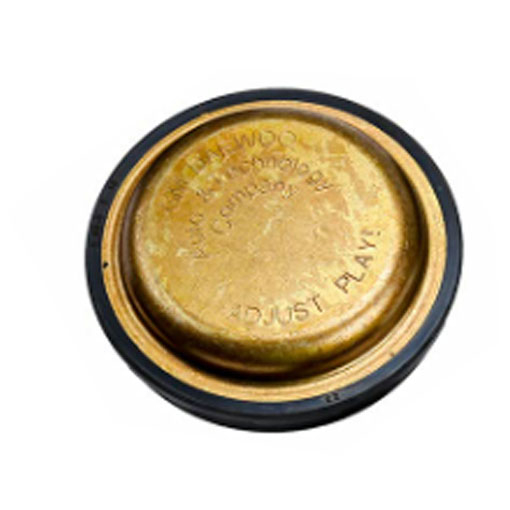 Capac rulment roata spate Aveo (T250), Kalos (Aveo T200), cod 96495510 [1]