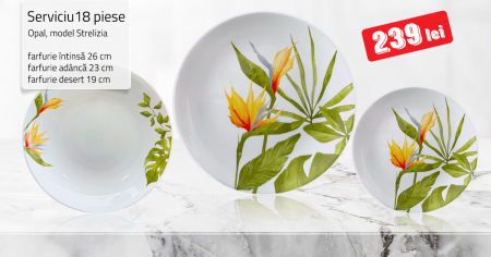 PROMOTII - Serviciu 18 piese din Opal, model Strelitzia