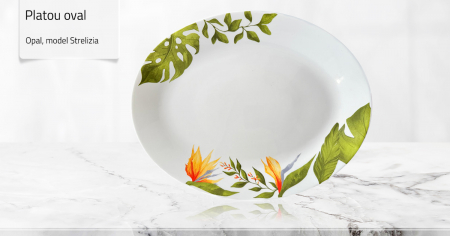 PROMOTII LIMITATE - Platou 34 cm Oval din Opal, model Strelitzia