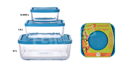 PROMOTII - Set 3 caserole patrate Eljado, sticla ( 2.1 L+ 1.04 L+ 450 ml)