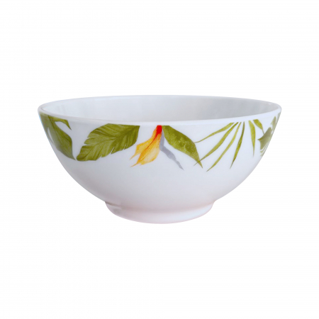 Set 6 Boluri supa Opal, 16 cm, model Strelitzia [1]