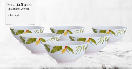 PROMOTII - Set 6 Boluri supa Opal, 16 cm, model Strelitzia