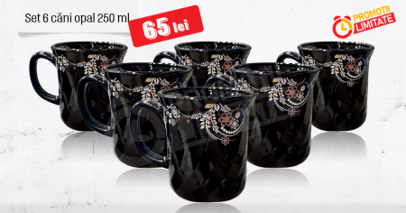 FARFURII LA BUCATA - Set 6 cani Opal, model Joy, 250ml