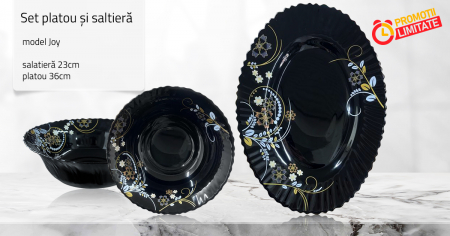 Set Platou si Salatiera model Joy [2]