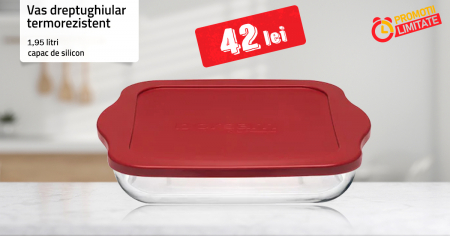 ALTE PROMOTII - Vas patrat cu capac silicon, Borcam 1.95L