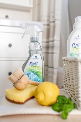 CALIGREEN NATURAL GLASS CLEANER   PRODUS DE CURĂŢAT PENTRU STICLĂ [2]