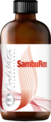 SambuRex (240 ml) Soc negru, Echinacea, Astragalus şi vitamina C întăreste sistemul imunitar [1]