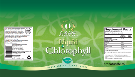 Liquid Chlorophyll CaliVita (473 ml) clorofilă lichidă [3]