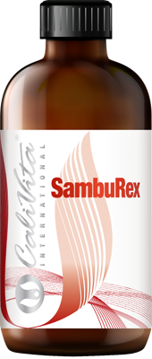 Catalog Produse - SambuRex (240 ml) Soc negru, Echinacea, Astragalus şi vitamina C întăreste sistemul imunitar