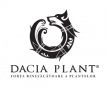 DACIA PLANT