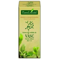 Extract Vasc 50ml Plant Extrakt [1]