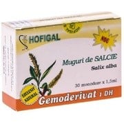 Gemoderivat Scoarta Salcie 30mndz Hofigal [1]