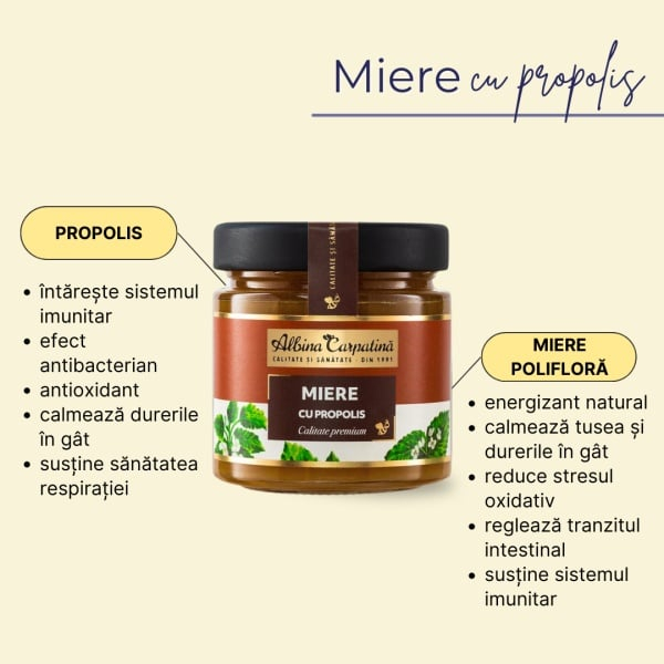 Miere cu Propolis 270g Apicola Pastoral Georgescu [2]