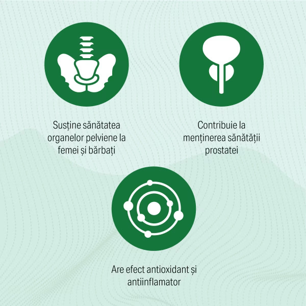 Sunvert 30 capsule Sunwave Pharma [4]
