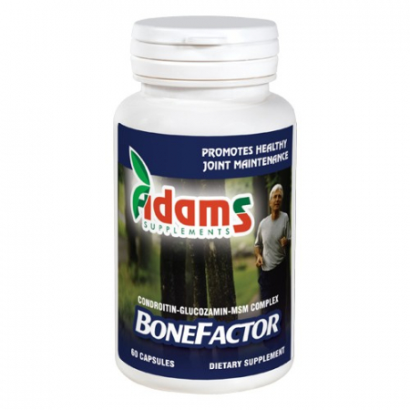 Suplimente - BoneFactor GS / Condroitin / MSM 60cps Adams Supplements