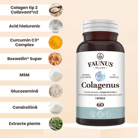 Colagenus 60cps Faunus Plant [2]