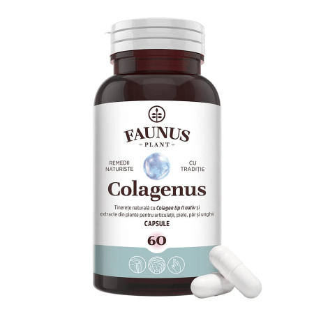 Sistem osteo-articular - Colagenus 60cps Faunus Plant